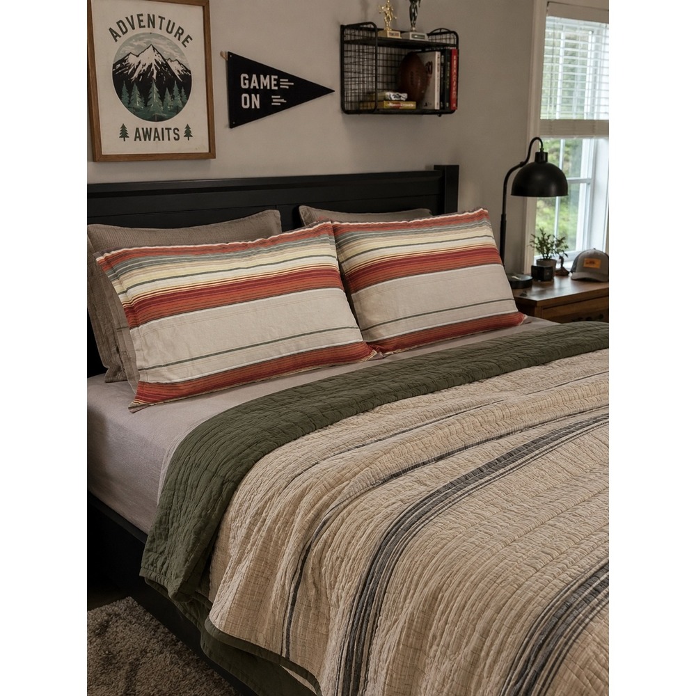 Pottery Barn Teen PBteen Standard Pillow Shams Set of 2 Striped Cotton Multi